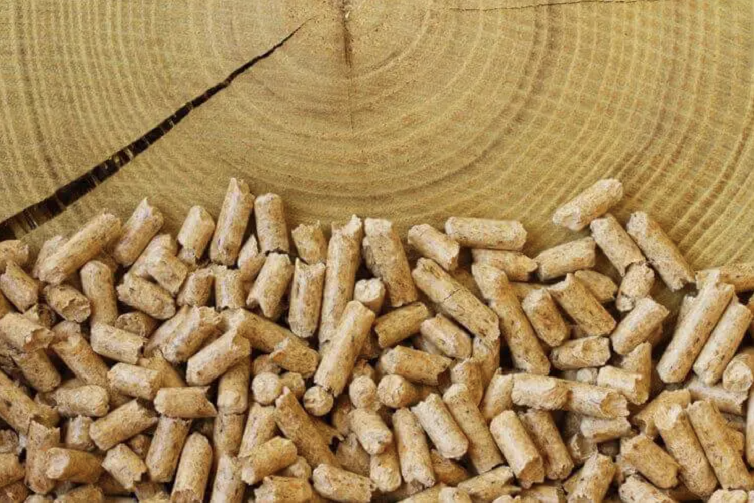 Comment fabriquer une presse à pellet soi-même ? - Presse à pellets :  Choix, avis et comparatif