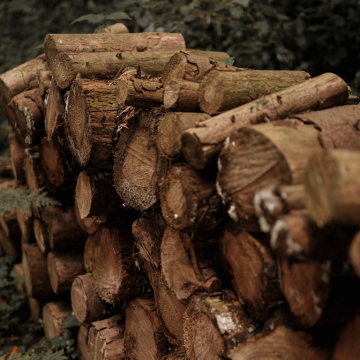 Stockage de bois de chauffage